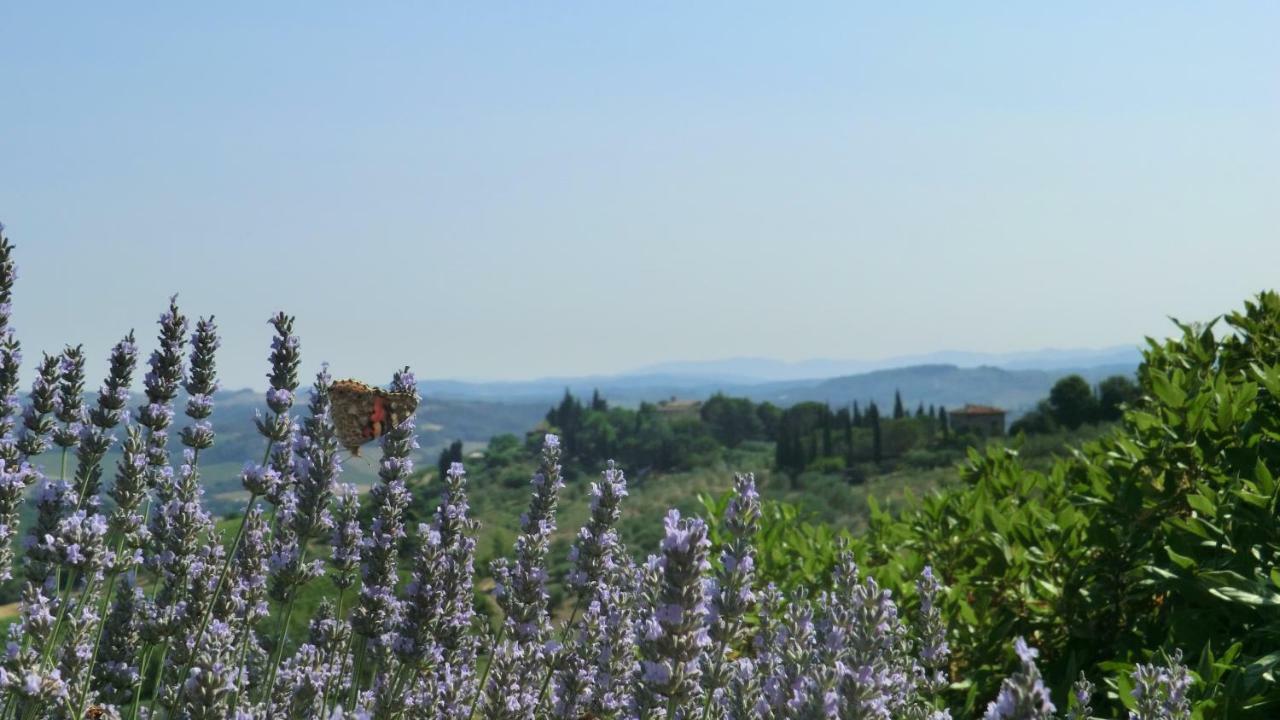 Appartamenti Ava E Tegrino Nell'Antica Dimora Di Fulignano San Gimignano Luaran gambar