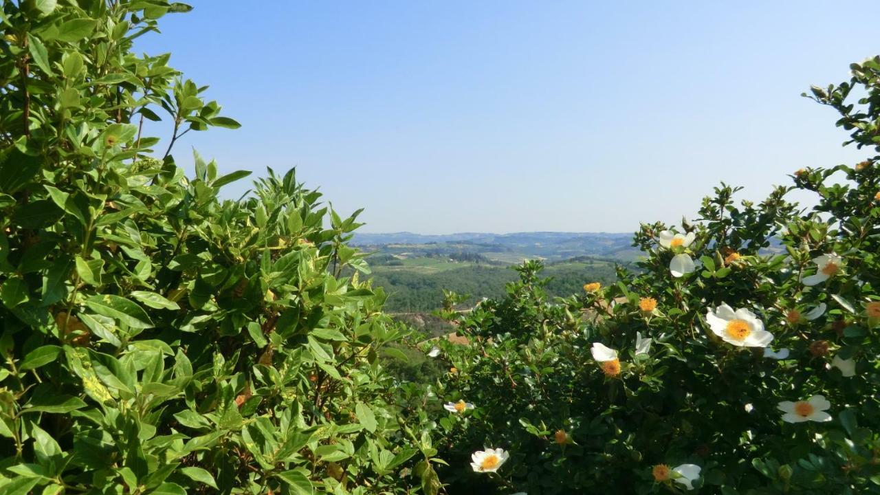 Appartamenti Ava E Tegrino Nell'Antica Dimora Di Fulignano San Gimignano Luaran gambar